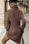 Turtleneck Sweater Dress